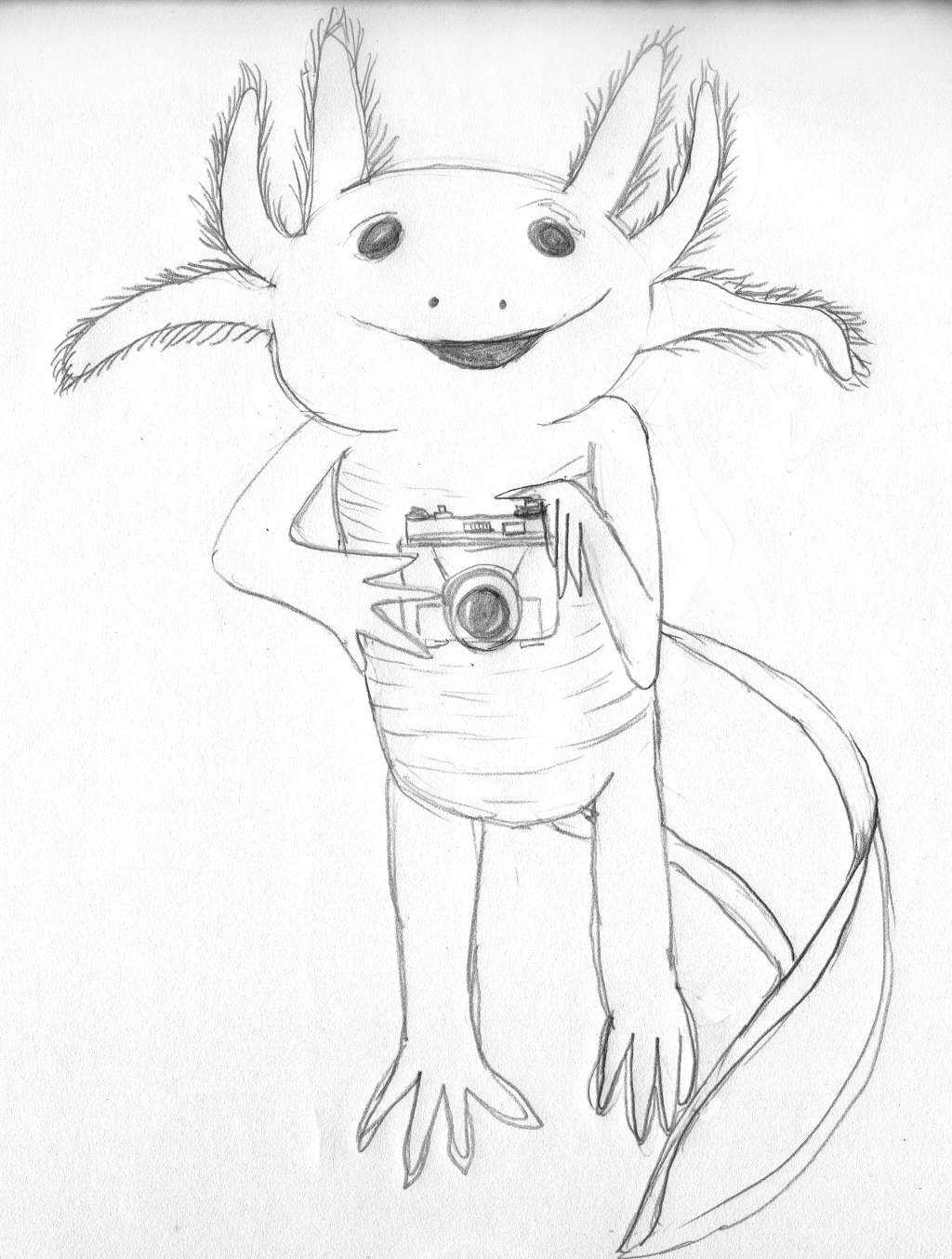 An axolotl, which is a lizard with frilled appendages on its head, holding a camera