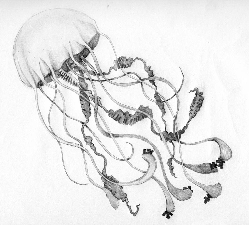 A jellyfish with several jigsaw puzzle pieces clasped in its tendrils