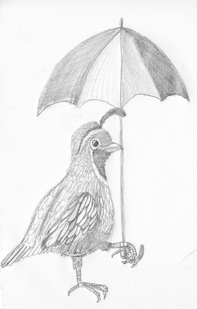 A quail grasping an umbrella with its feet